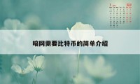 暗网需要比特币的简单介绍