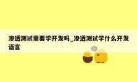 渗透测试需要学开发吗_渗透测试学什么开发语言