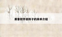 黑客软件装样子的简单介绍