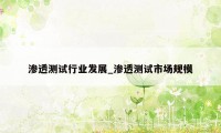 渗透测试行业发展_渗透测试市场规模
