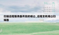 扫描远程服务器开放的端口_远程主机端口扫描器
