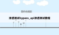 渗透测试bypass_api渗透测试教程