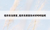 程序员当黑客_程序员黑客技术好吗吗贴吧