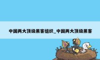 中国两大顶级黑客组织_中国两大顶级黑客