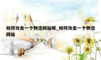 如何攻击一个物流网站呢_如何攻击一个物流网站
