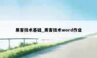 黑客技术基础_黑客技术word作业