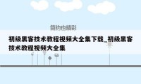 初级黑客技术教程视频大全集下载_初级黑客技术教程视频大全集