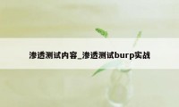 渗透测试内容_渗透测试burp实战