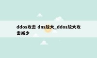 ddos攻击 dns放大_ddos放大攻击减少