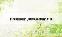 扫描网段端口_实验4网络端口扫描