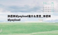 渗透测试payload是什么意思_渗透测试payload