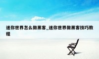 迷你世界怎么做黑客_迷你世界做黑客技巧教程