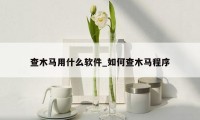 查木马用什么软件_如何查木马程序