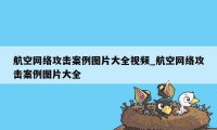 航空网络攻击案例图片大全视频_航空网络攻击案例图片大全