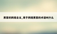 黑客的网络含义_用于网络黑客的术语叫什么