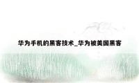 华为手机的黑客技术_华为被美国黑客