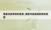 黑客攻击带来的危害_黑客攻击造成的损失调查