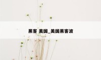 黑客 美国_美国黑客波