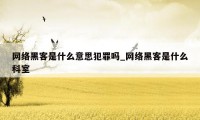 网络黑客是什么意思犯罪吗_网络黑客是什么科室