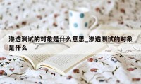 渗透测试的对象是什么意思_渗透测试的对象是什么