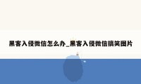 黑客入侵微信怎么办_黑客入侵微信搞笑图片