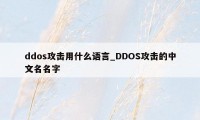 ddos攻击用什么语言_DDOS攻击的中文名名字