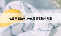 啥是黑客技术_什么是黑客技术专家