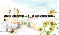 最厉害的黑客软件大全_最厉害的黑客软件大全