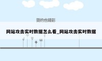 网站攻击实时数据怎么看_网站攻击实时数据