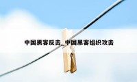 中国黑客反击_中国黑客组织攻击