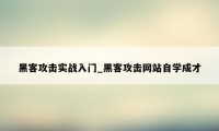 黑客攻击实战入门_黑客攻击网站自学成才