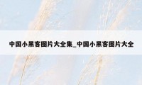 中国小黑客图片大全集_中国小黑客图片大全