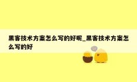 黑客技术方案怎么写的好呢_黑客技术方案怎么写的好