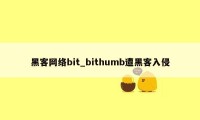 黑客网络bit_bithumb遭黑客入侵