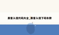 黑客入侵代码大全_黑客入侵下码车牌