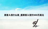 黑客入侵什么罪_遭黑客入侵付440万美元
