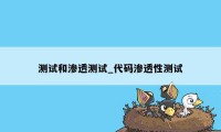 测试和渗透测试_代码渗透性测试