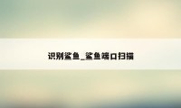 识别鲨鱼_鲨鱼端口扫描