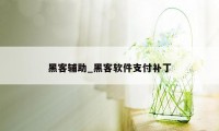 黑客辅助_黑客软件支付补丁