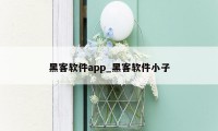 黑客软件app_黑客软件小子
