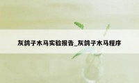 灰鸽子木马实验报告_灰鸽子木马程序