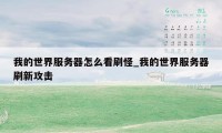我的世界服务器怎么看刷怪_我的世界服务器刷新攻击