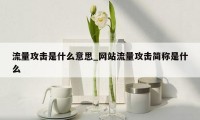 流量攻击是什么意思_网站流量攻击简称是什么