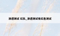 渗透测试 红队_渗透测试有红色测试