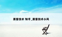 黑客技术 知乎_黑客技术小风
