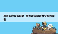 黑客实时攻击网站_黑客攻击网站大全在线观看