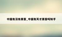 中国有没有黑客_中国有天才黑客吗知乎