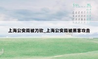 上海公安局被刀砍_上海公安局被黑客攻击