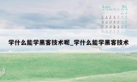 学什么能学黑客技术呢_学什么能学黑客技术