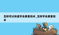 怎样可以快速学会黑客技术_怎样学会黑客技术